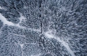 Dijital Ödeme Uygulamaları: Güvenli ve Hızlı Para Transferi Sistemi dijital odeme uygulamalari guvenli ve hizli para transferi sistemi