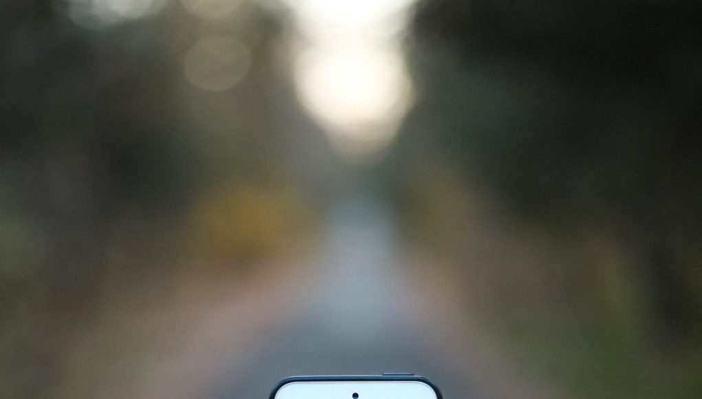 Güvenliğin İlk Adımı: SMS Onayı, Mobil Onay ve Numara Onayı Onayhizmeti1