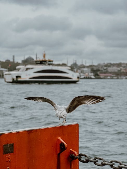Cebelitarık Boğazı: Uzunluğu, Genişliği ve Derinliği strait of gibraltar length in kilometers